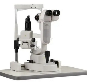 微信截图_20241206163423