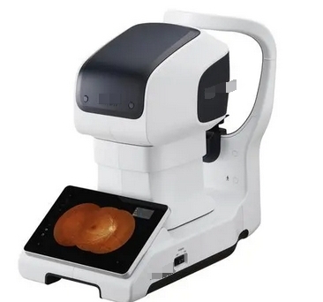 微信截图_20241206164239