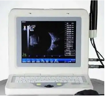 微信截图_20241209162921