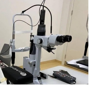 微信截图_20241223164144