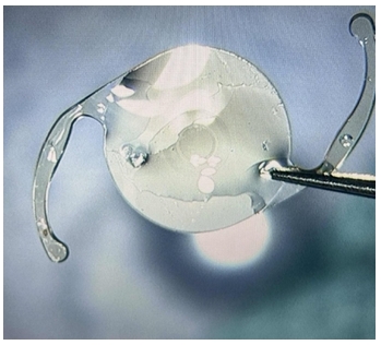 微信截图_20241224164900