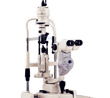 微信截图_20241224170714