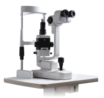 微信截图_20241230163527