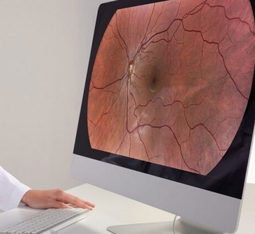 微信截图_20241231163048