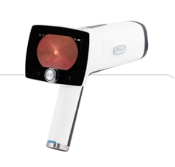 微信截图_20241231163103