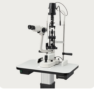 微信截图_20241231163121