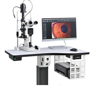 微信截图_20241231164102