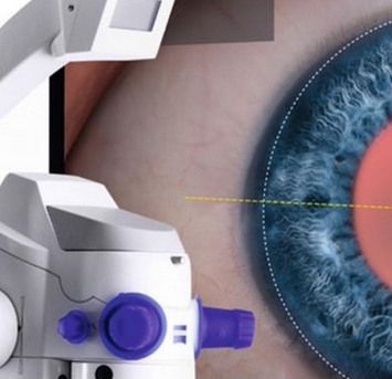 微信截图_20250103160946