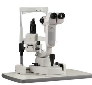 微信截图_20250103161031 微信截图_20250103161031