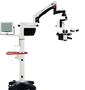 微信截图_20250107161535