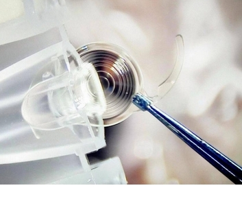 微信截图_20250107162630