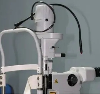 微信截图_20250109150805