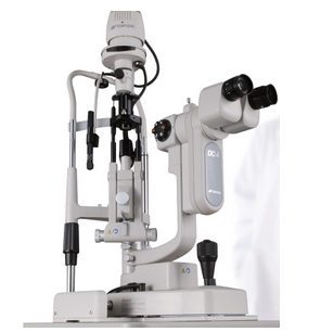 微信截图_20250121164456