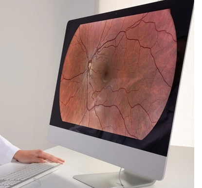 微信截图_20250205162243