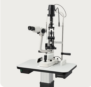 微信截图_20250205163229