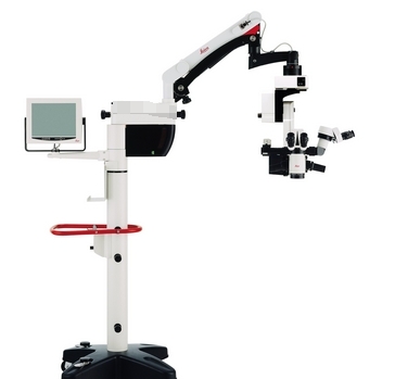 微信截图_20250206162407