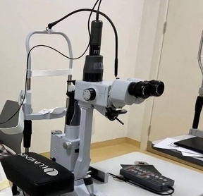 微信截图_20250207163612