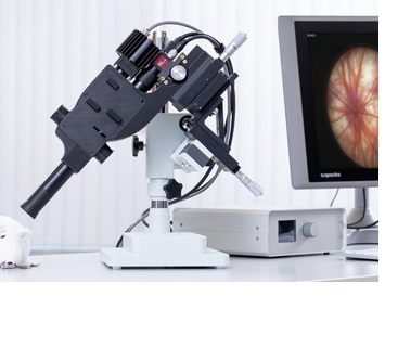 微信截图_20250208162046