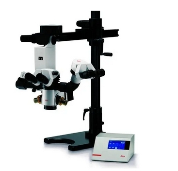 微信截图_20250210162337 微信截图_20250210162337