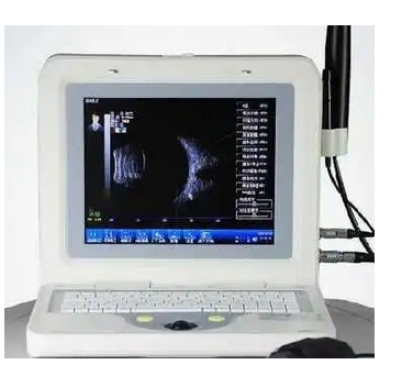 微信截图_20250210162417 微信截图_20250210162417