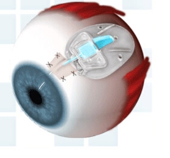 微信截图_20250211160635