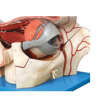微信截图_20250218155941