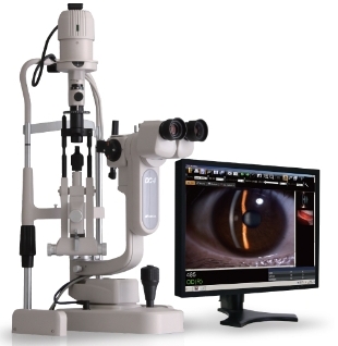 微信截图_20250220155048 微信截图_20250220155048