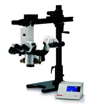 微信截图_20250224155257