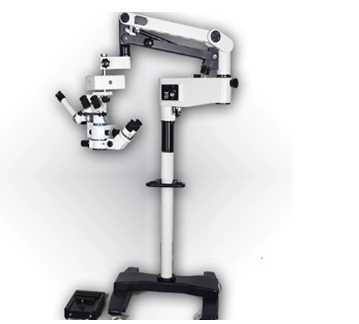 微信截图_20250225152643