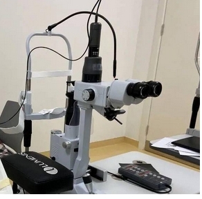 微信截图_20250225152818