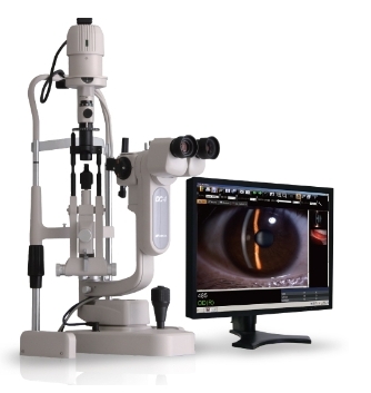 微信截图_20250227155622 微信截图_20250227155622