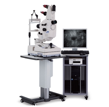 微信截图_20250228161549