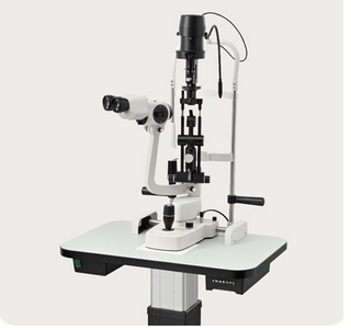 微信截图_20250228161632