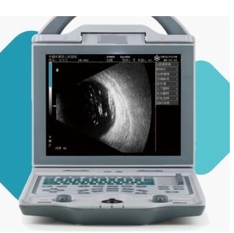 微信截图_20250307160759