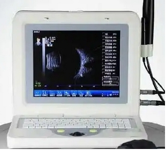 微信截图_20250307160804