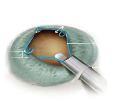 微信截图_20250313151947