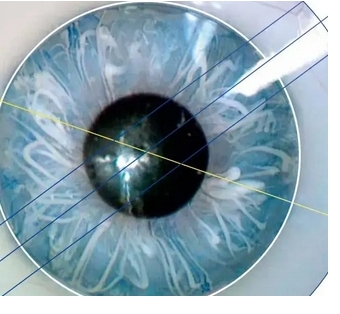 微信截图_20250314131115