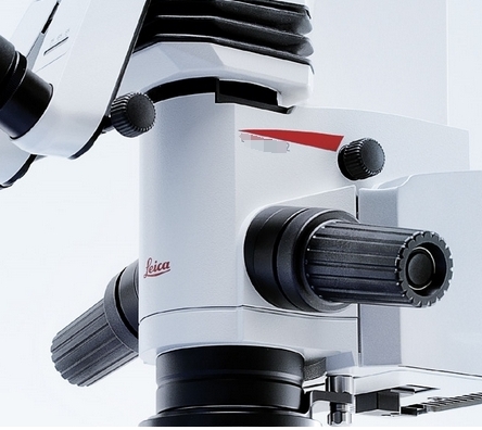 微信截图_20250314131153