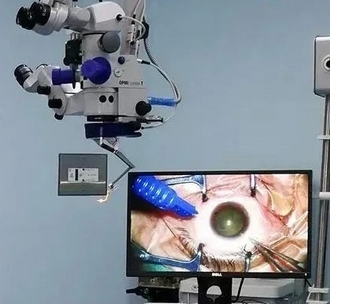 微信截图_20250327160759