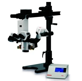 微信截图_20250327161756