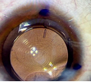 微信截图_20250328164059